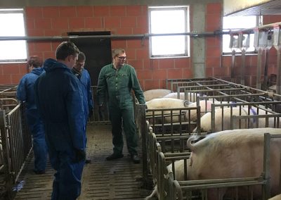 Workshop „Management Sauen und Ferkel“